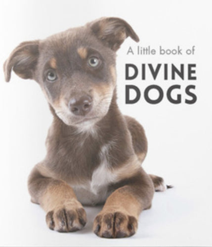 LITTLE BOOK OF DIVINE DOGS 