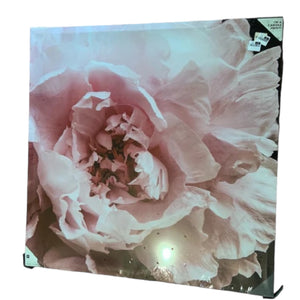 CANVAS PRINT PEONY BLOOM DETAIL 90X90